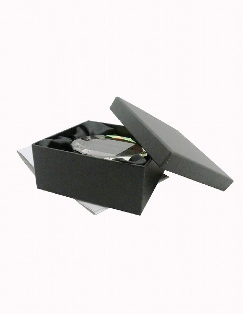 画像6: クリスタルペーパーウェイト　DW-11・DW-20　/　【2Ｄレーザー彫刻】