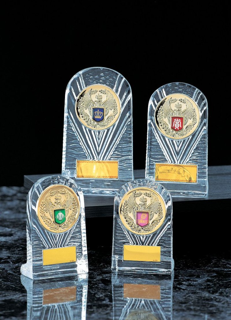 画像6: ガラス製　表彰盾/楯　V141 （旧 Z179）　【文字代無料】