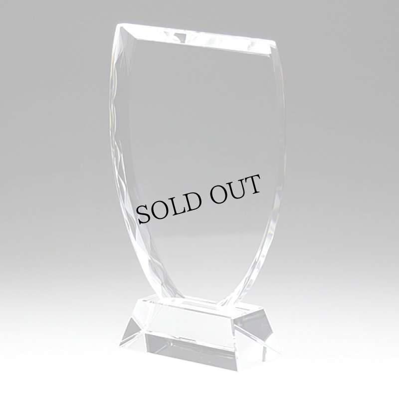 画像4: クリスタルトロフィー　盾タイプ　DP-1　/　【サンドブラスト彫刻】＋【UV印刷】 