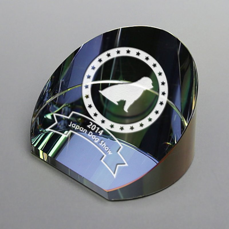 画像4: クリスタル製　メモリアルオブジェ　DW-4　/　【2Dレーザー彫刻】