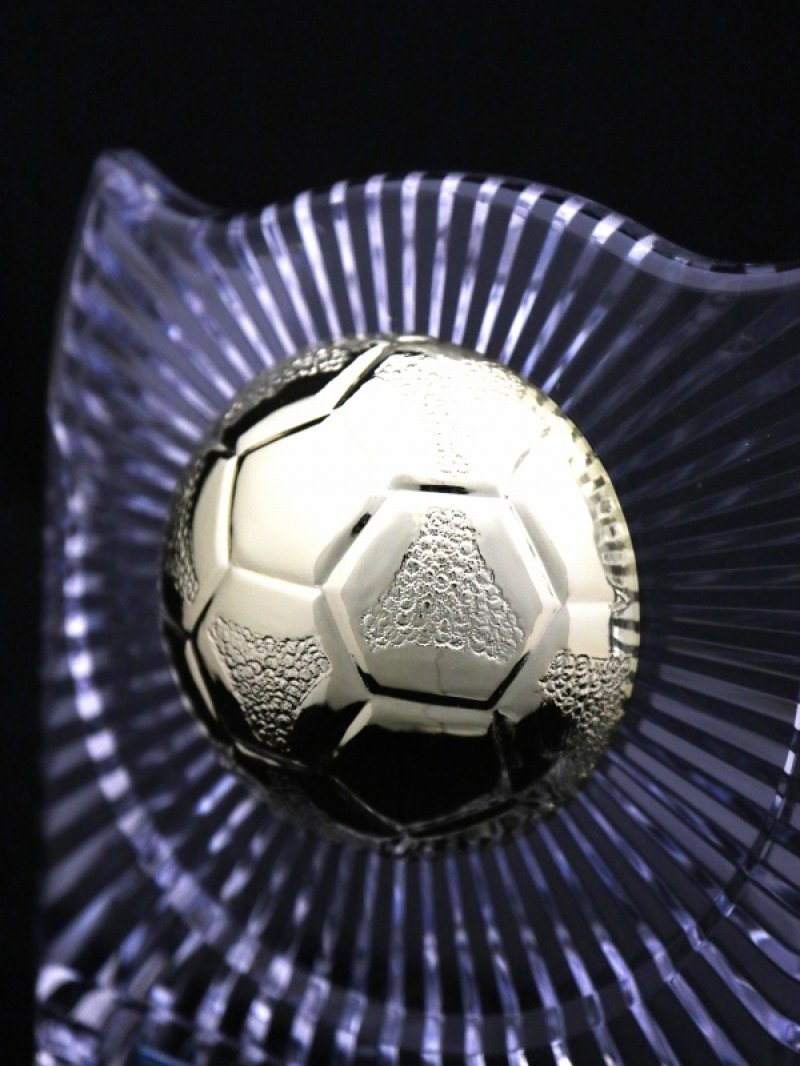 画像8: 透明アクリル製　表彰盾　 半立体ボールレリーフ　S-6061　（旧：S-6297） 【30%OFF】