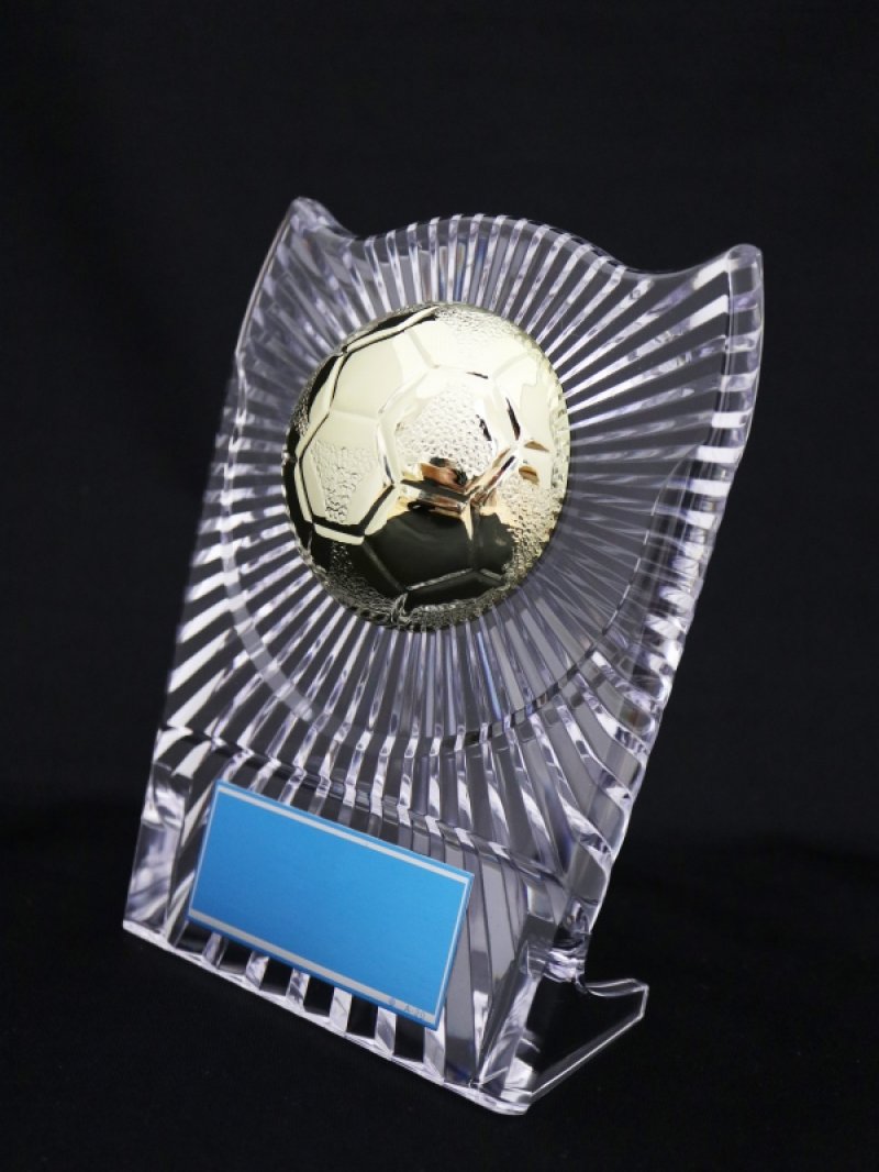 画像3: 透明アクリル製　表彰盾　 半立体ボールレリーフ　S-6061　（旧：S-6297） 【30%OFF】