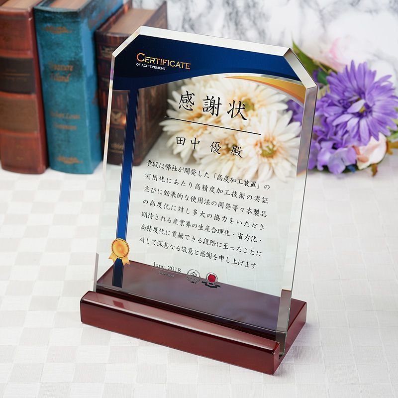 画像6: ＊ソーダガラス製　表彰盾　大きめ・ガラス厚み10mm！（３サイズ）DSP-3 /　【サンドブラスト彫刻】 または【UV印刷】