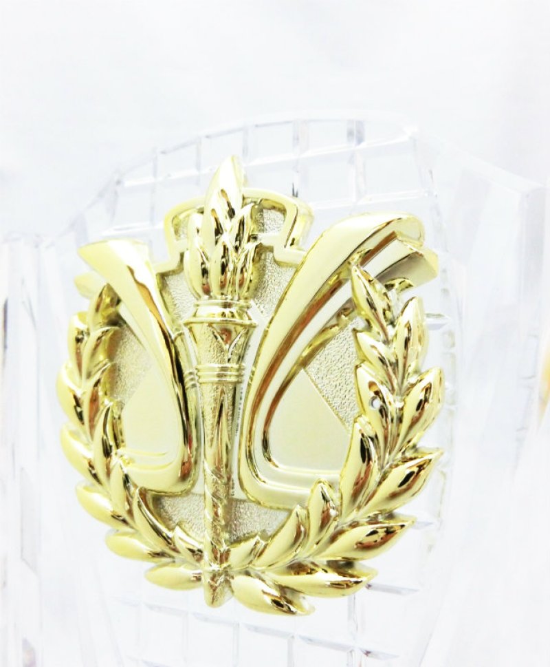 画像7: 透明アクリル製　表彰盾　樹脂レリーフ　KV-5460 （旧：KV-3460）【40%OFF】