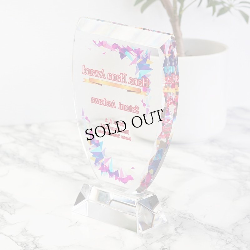 画像8: クリスタルトロフィー　盾タイプ　DP-1　/　【サンドブラスト彫刻】＋【UV印刷】 