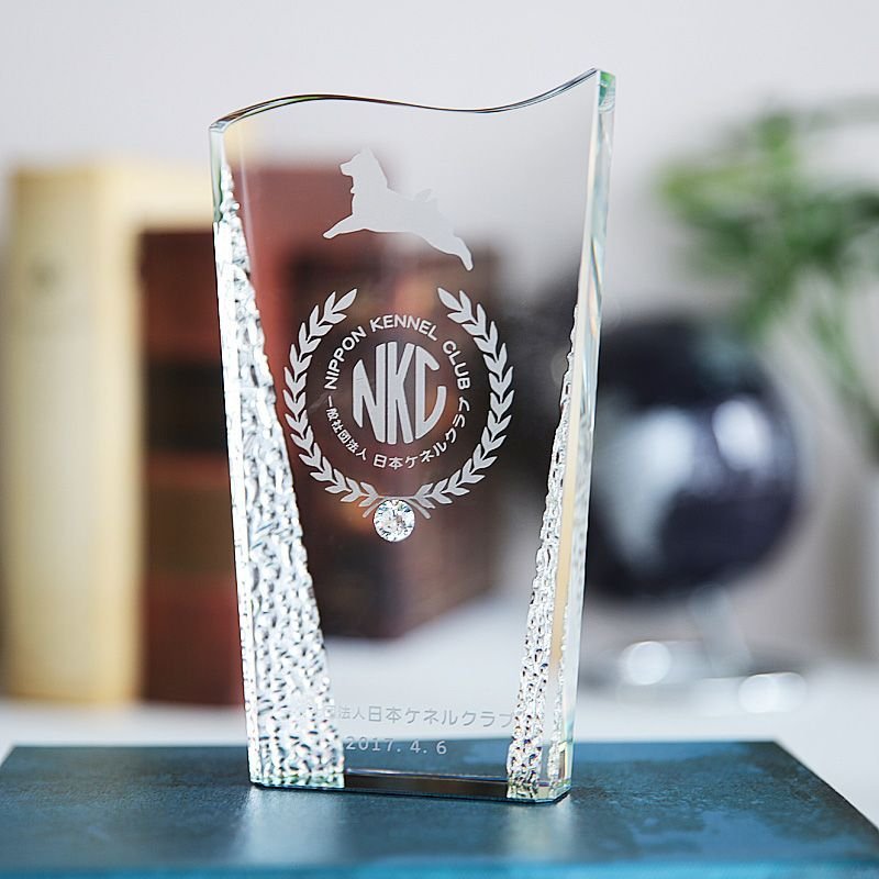 画像7: クリスタルトロフィー　CR-17　/ 【2Dレーザー彫刻】【レインボー加工】 