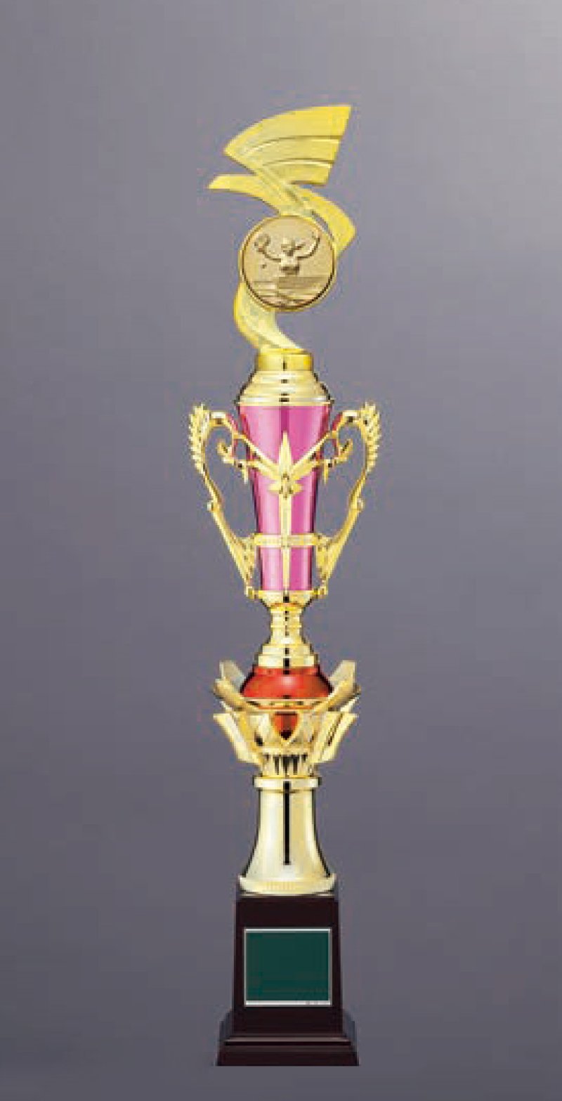 画像5: トロフィー　T-3116（ピンク）、T-3117（水色）【30%OFF】