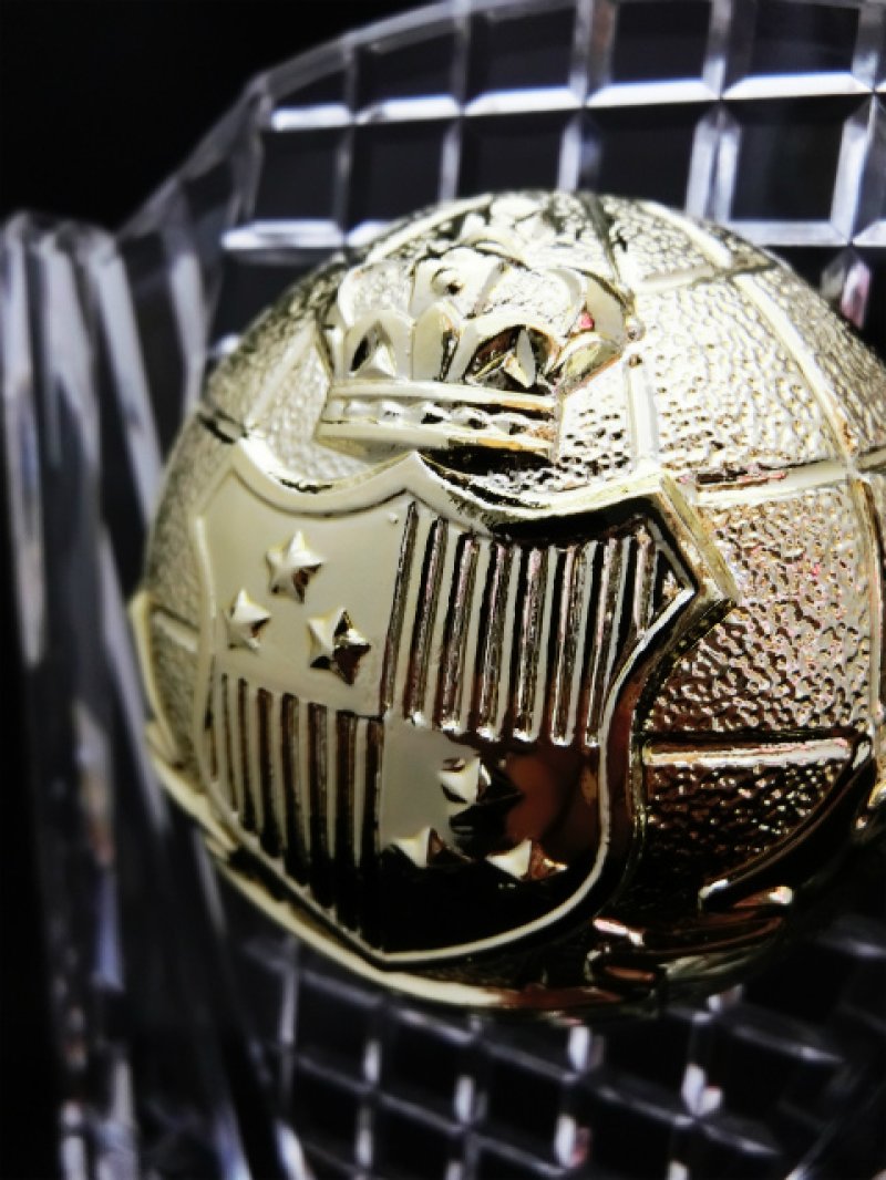 画像7: 透明アクリル製　表彰盾　 半立体ボールレリーフ　S-6061　（旧：S-6297） 【30%OFF】