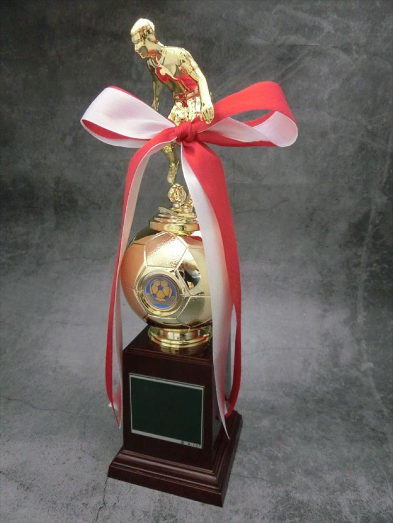 画像6: サッカー・フットサル用　ブロンズトロフィー BT-2331 (旧：BT-2676）【30%OFF】