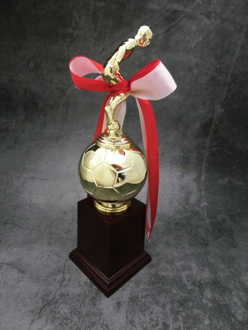 画像7: サッカー・フットサル用　ブロンズトロフィー BT-2331 (旧：BT-2676）【30%OFF】