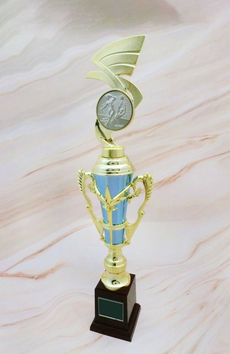 画像8: トロフィー　T-3116（ピンク）、T-3117（水色）【30%OFF】