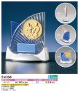 画像1: 【樹脂製】　表彰楯　 選べる60ｍｍレリーフ付　S-6168 　 【30%OFF】【文字代無料】 (1)