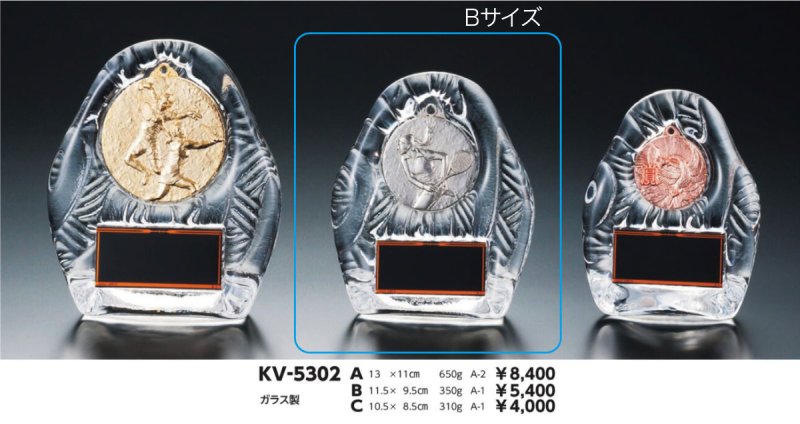 画像2: ガラス製　表彰盾　金属メダル取り替え　KV-5302『B』サイズ