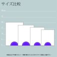 画像8: 【ブラックビューティー】　クリスタルトロフィー　盾タイプ　DPB-15　/　（UV印刷＋サンドブラスト彫刻に色入れ）】