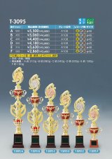 トロフィー　T-3095  new　 【30%OFF】