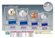 画像1: 透明アクリル製　表彰盾　 半立体ボールレリーフ　S-6061　（旧：S-6297） 【30%OFF】 (1)