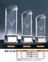 3Dイーグル/ワシを閉じ込めたクリスタルトロフィー　BW-2156（旧：BW-2418） 【30%OFF】【文字代無料】