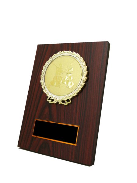 画像5: 木製　楯/盾　アルミレジストレリーフ　KV-5455  （旧：KV-3455）【40%OFF】 (5)