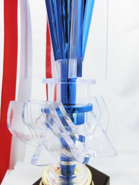 画像2: トロフィー　BV-4439 （青）　【40%OFF】 (2)