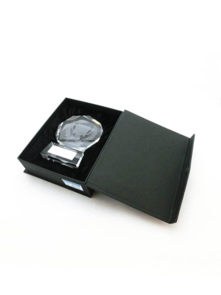 画像4: クリスタルトロフィー　B529 （旧B387）　/　クリスタル内部に図柄 (4)