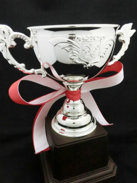 画像4: バリエーション　優勝カップ　ACV-9379　【40%OFF】【文字代無料】 (4)