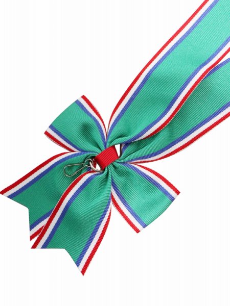 画像2: １クラス上の首掛けりぼん・蝶結び　（表彰メダル用）【WEG】 R-1 (2)