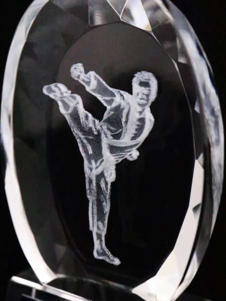 画像4: 2Dデザイン・空手/拳法　専用クリスタルトロフィー / 811  (4)