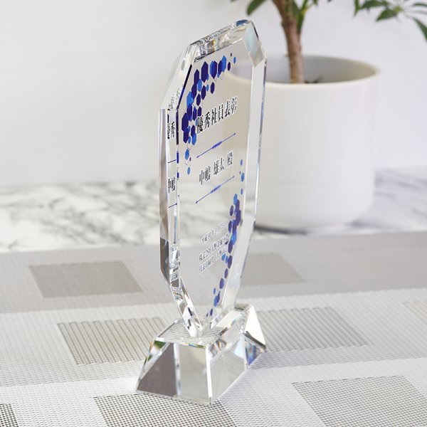 画像11: クリスタルトロフィー　盾タイプ　DP-2　/ 【サンドブラスト彫刻】　または 【UV印刷】 (11)