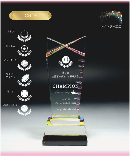 画像6: クリスタルトロフィー　CR-2 /　【サンドブラスト彫刻】 (6)