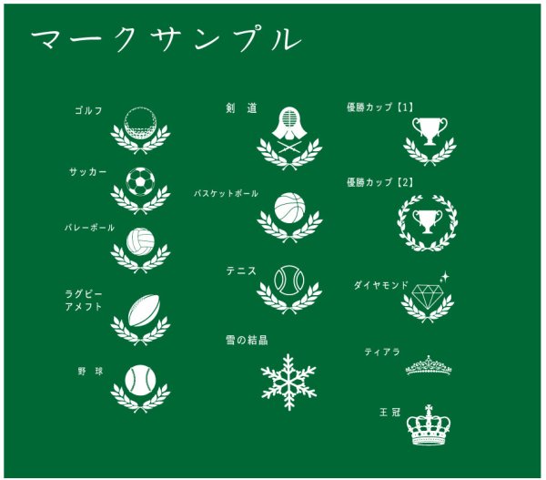 画像20: クリスタル製 表彰盾 DP-20 / 【サンドブラスト彫刻】 または 【UVカラー印刷】 (20)