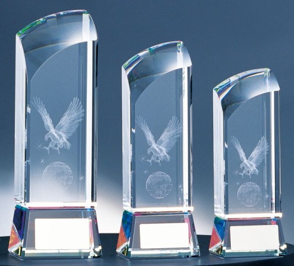 画像2: 3Dイーグル/ワシを閉じ込めたクリスタルトロフィー　BW-2156（旧：BW-2418） 【30%OFF】【文字代無料】 (2)