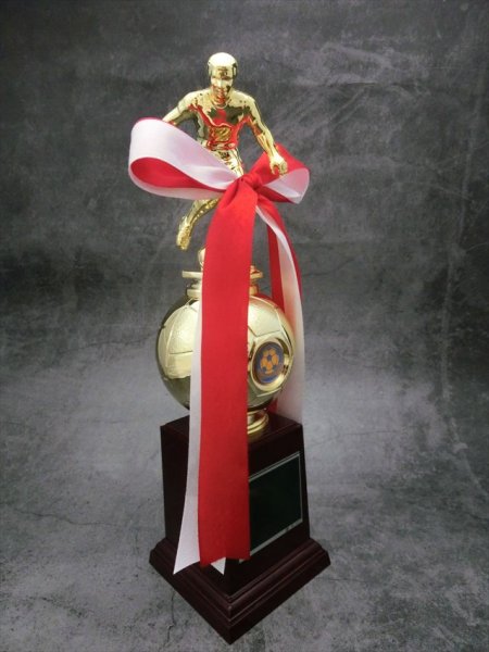 画像5: サッカー・フットサル用　ブロンズトロフィー BT-2331 (旧：BT-2676）【30%OFF】 (5)