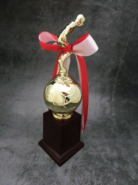 画像7: サッカー・フットサル用　ブロンズトロフィー BT-2331 (旧：BT-2676）【30%OFF】 (7)