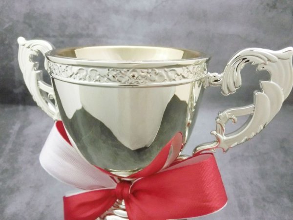 画像2: シルバー　樹脂製　多層膜メッキ　優勝カップ　CP-1058  (旧：CP-1242） 【30%OFF】【文字入れ代無料】 (2)