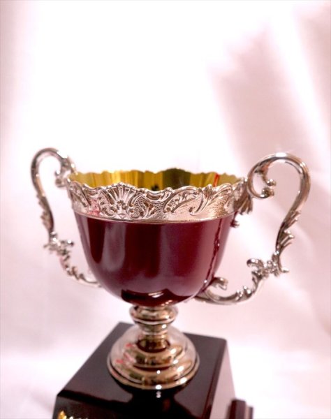 画像4: アンチモニー金属製　赤い優勝カップ　AC-9507　【40%OFF】【文字代無料】 (4)