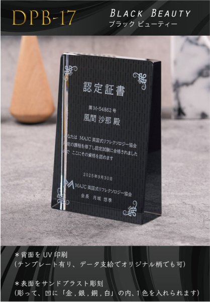 画像1: 【ブラックビューティー】　クリスタルトロフィー　盾タイプ　DPB-17　/　（UV印刷＋サンドブラスト彫刻に色入れ）】 (1)