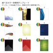 画像24: クリスタルトロフィー　盾タイプ　DP-17　/　【サンドブラスト彫刻】　または　【UV印刷】 (24)