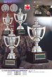 画像1: アンチモニー金属製　優勝カップ　アーサーカップ　CA-1033　（旧：CA-1165）　【30%OFF】【文字代無料】 (1)